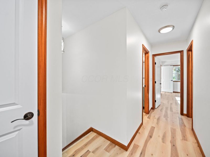 4650 Cautela Drive, Westerville, OH 43081 Photo 34