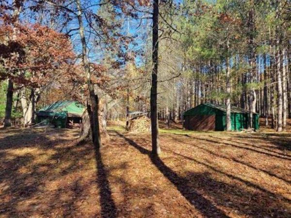 3385 Jones Road, Beaverton, MI 48612