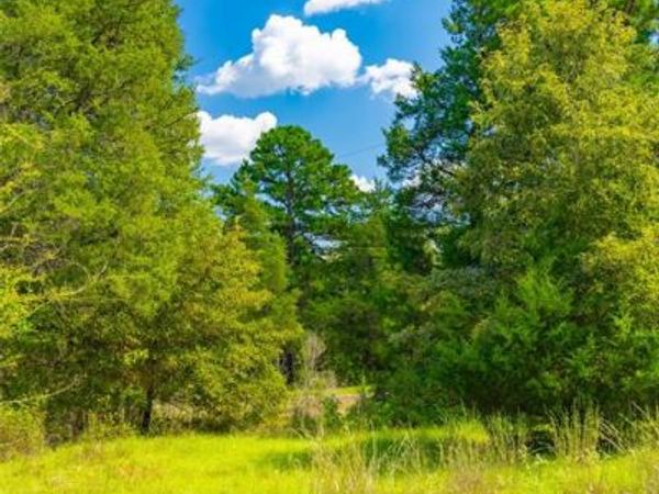 14799 FM 315 , Palestine, TX 75803