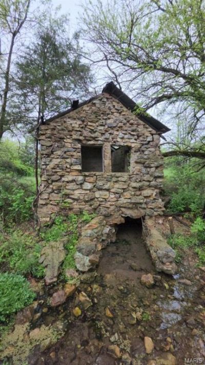 000 M- Wolfe Drive, Mountain Grove, MO 65711 Main Photo