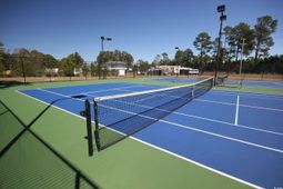 3335 Moss Bridge Ln. photo 4