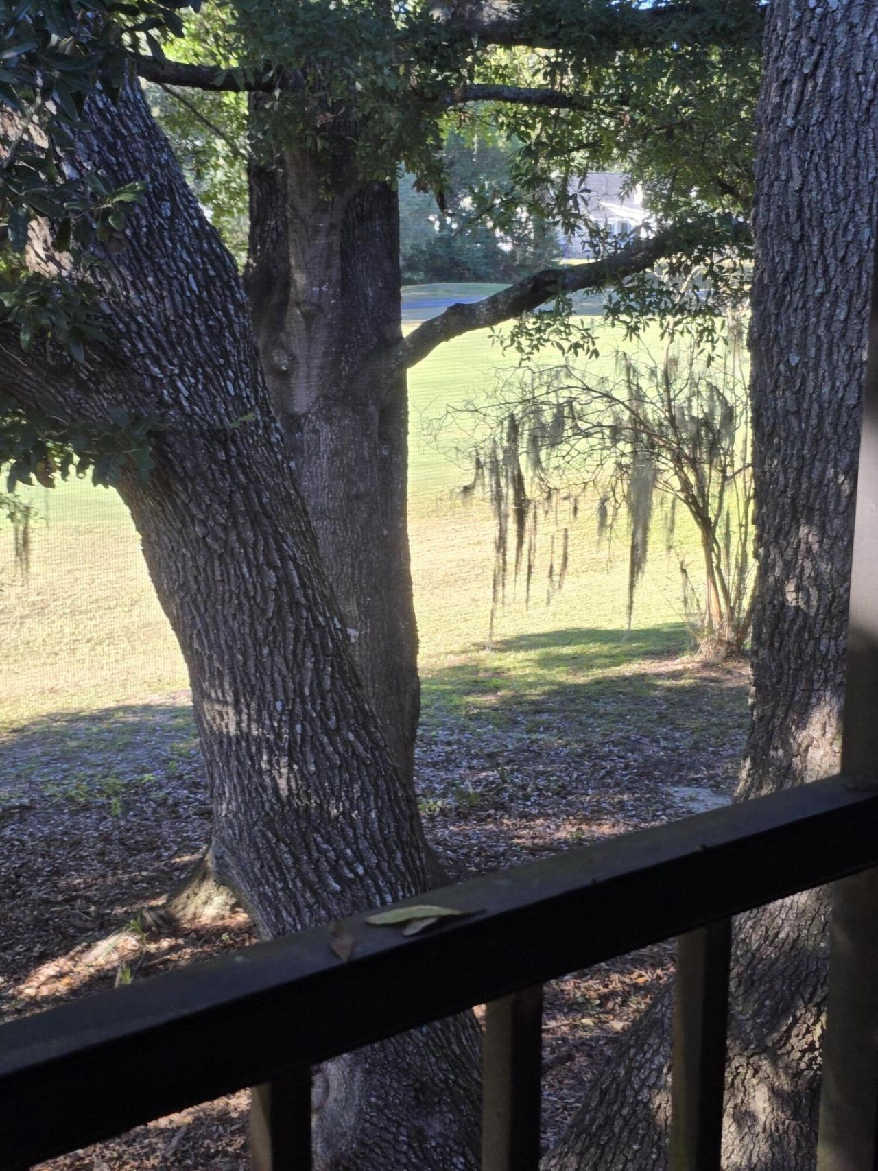 2945 Dove Haven Court Photo 10