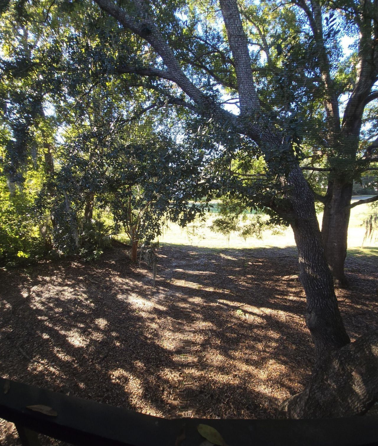 2945 Dove Haven Court Photo 11