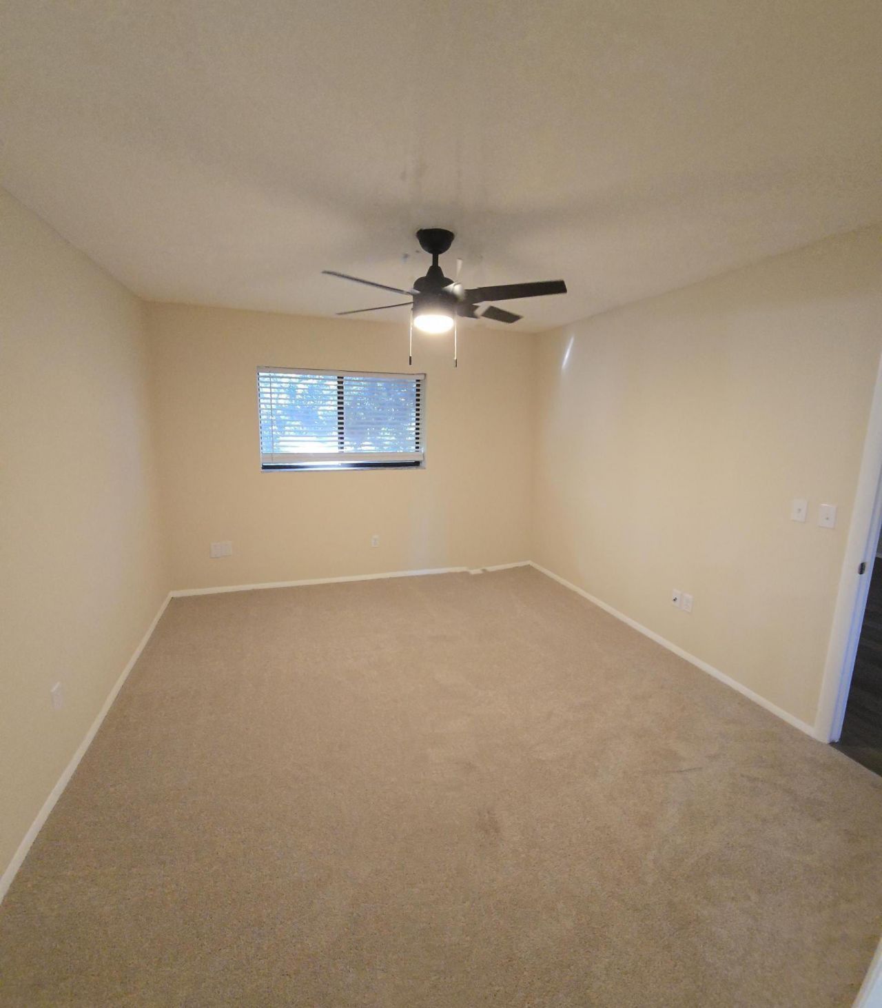 2945 Dove Haven Court Photo 12