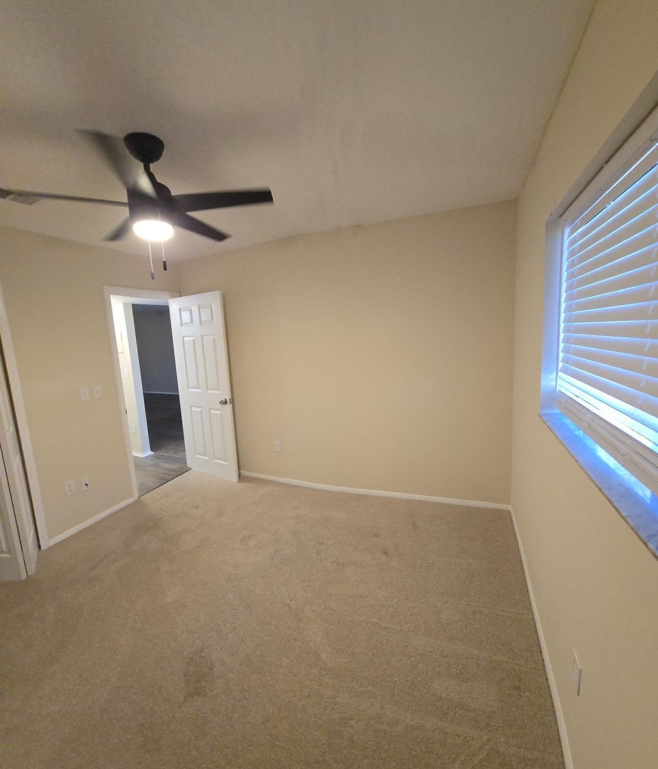 2945 Dove Haven Court Photo 19