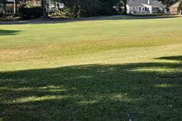 2945 Dove Haven Court photo 4