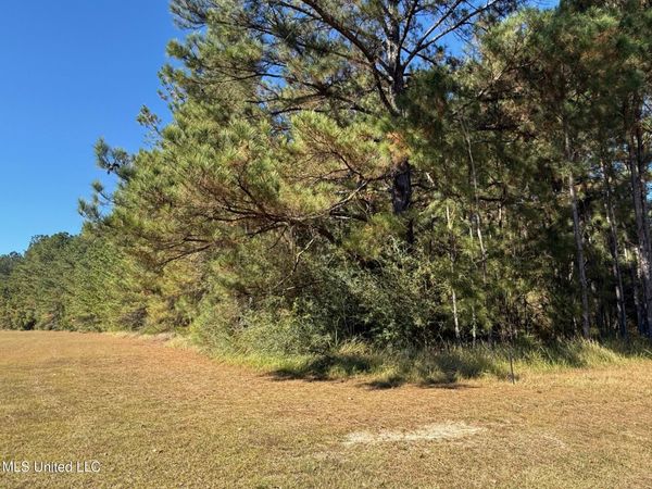 6.25ac Knob Town Rd, State Line, MS 39362