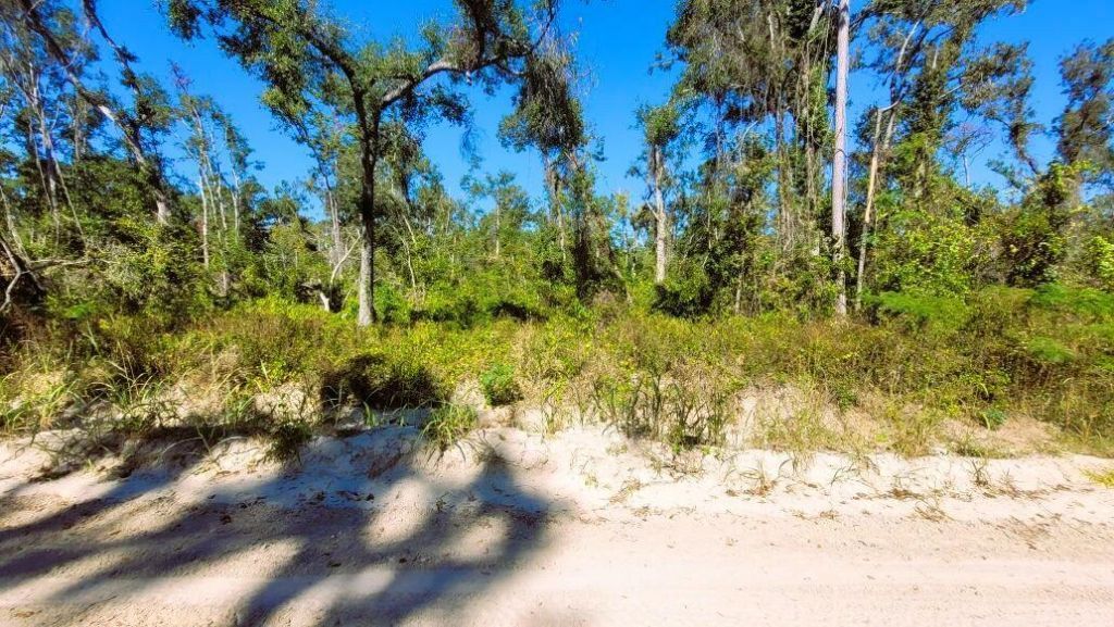 Lot 56 NW 29th Loop, Jennings, FL 32053 Photo
