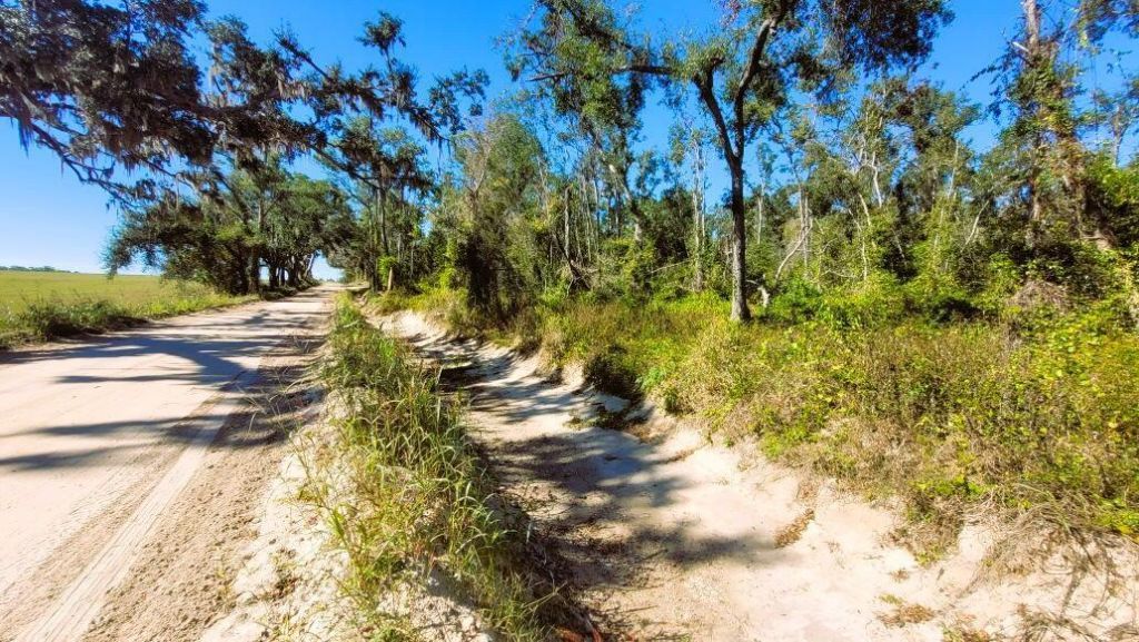 Lot 56 NW 29th Loop, Jennings, FL 32053 Photo