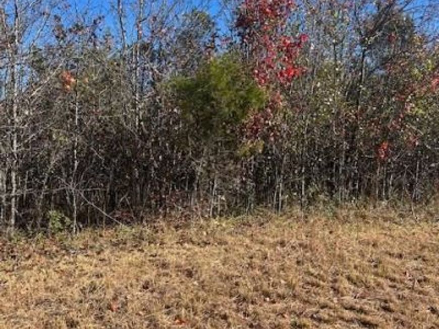 7430 Chicamuxen Road, Indian Head, MD 20640 Main Photo