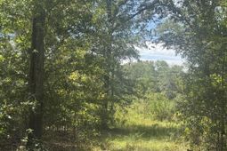 1571,1651 Creek Mill Road photo 4