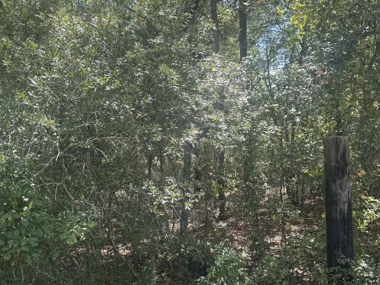 1571,1651 Creek Mill Road Photo 4