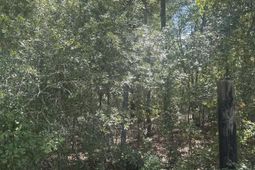 1571,1651 Creek Mill Road photo 4