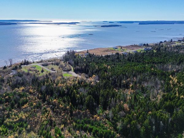 Lot 6 Holmes Bay Farm, Whiting, ME 04691