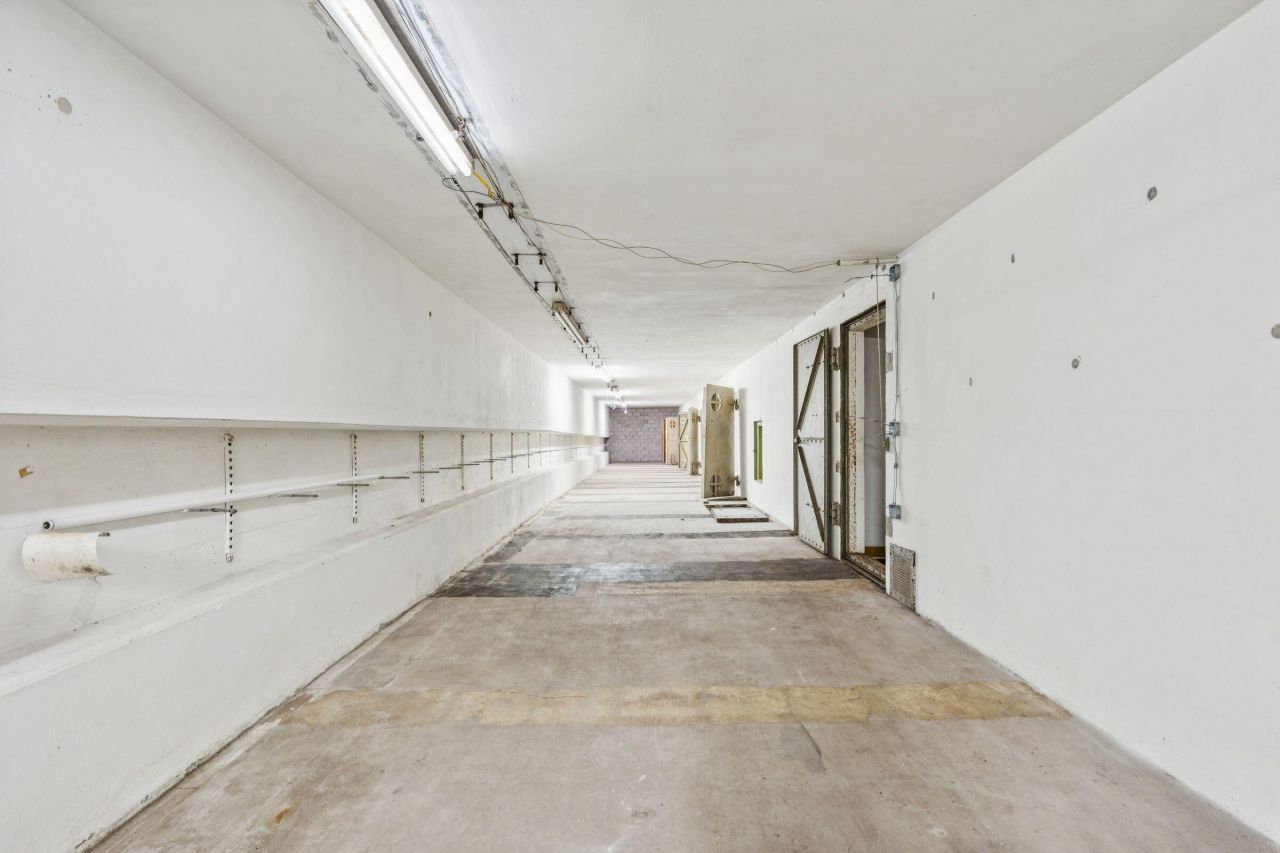 3019 Ion Avenue Photo 26