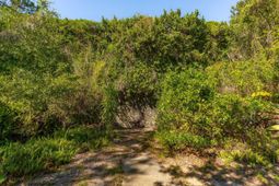 3019 Ion Avenue photo 4