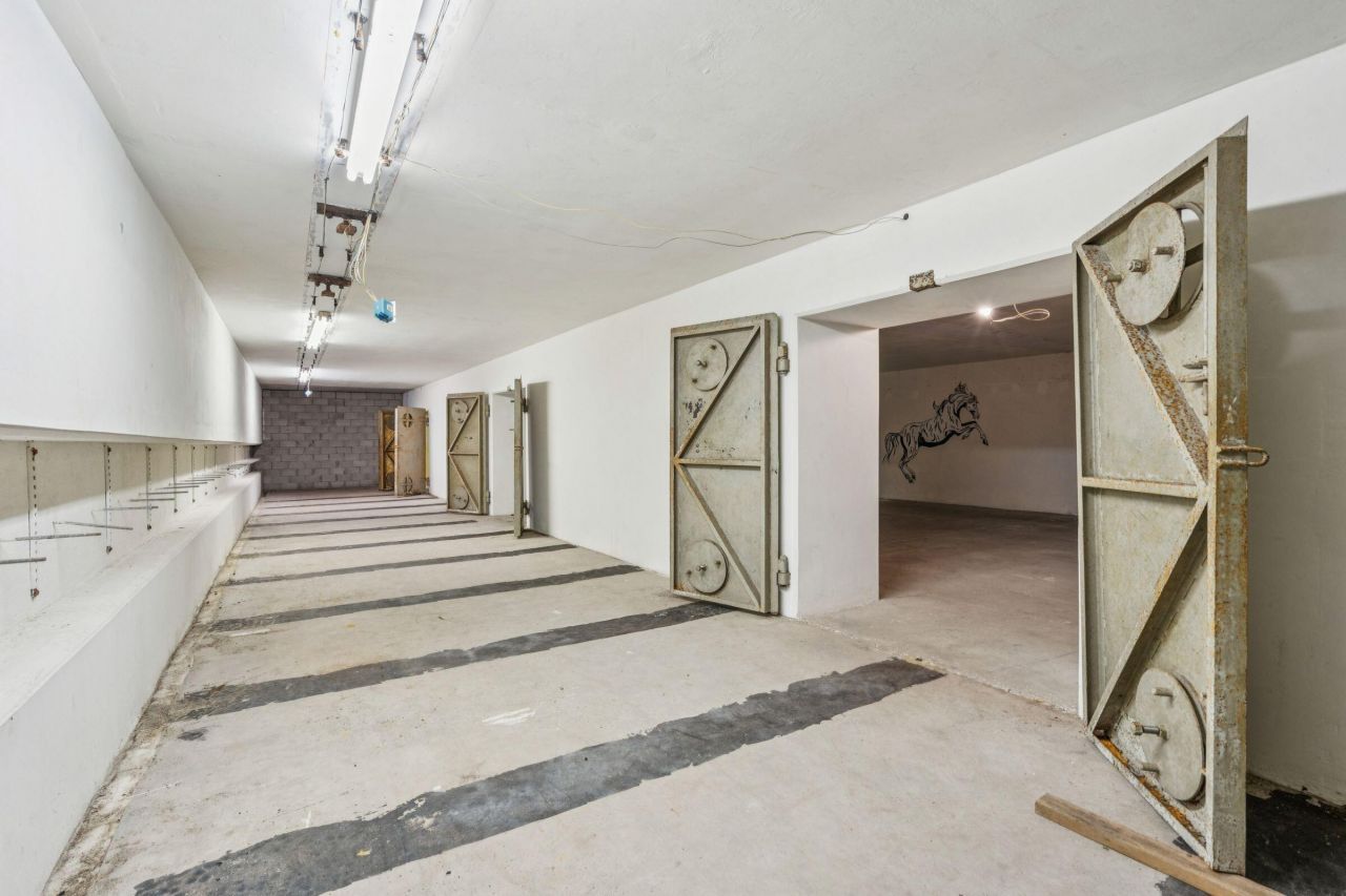 3019 Ion Avenue Photo 32