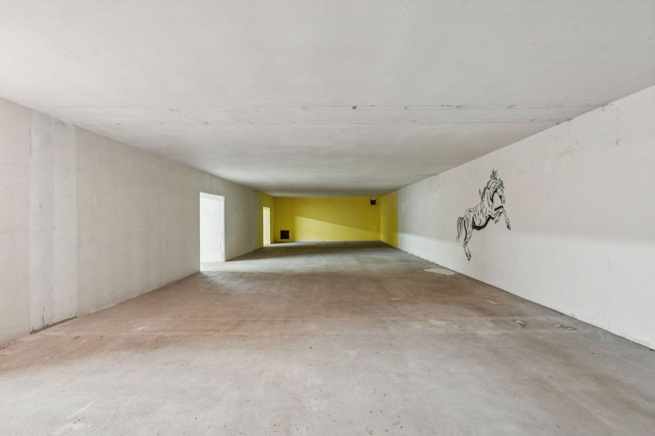 3019 Ion Avenue Photo 34