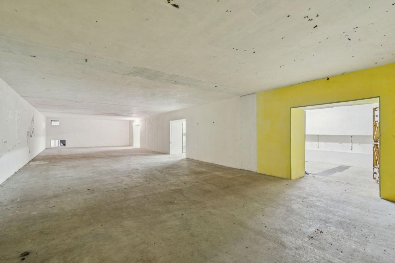 3019 Ion Avenue Photo 36