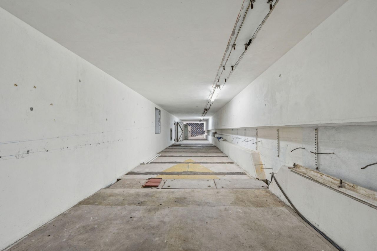 3019 Ion Avenue Photo 38