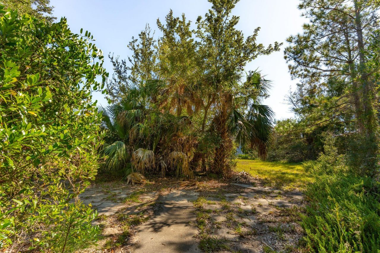 3019 Ion Avenue Photo 4