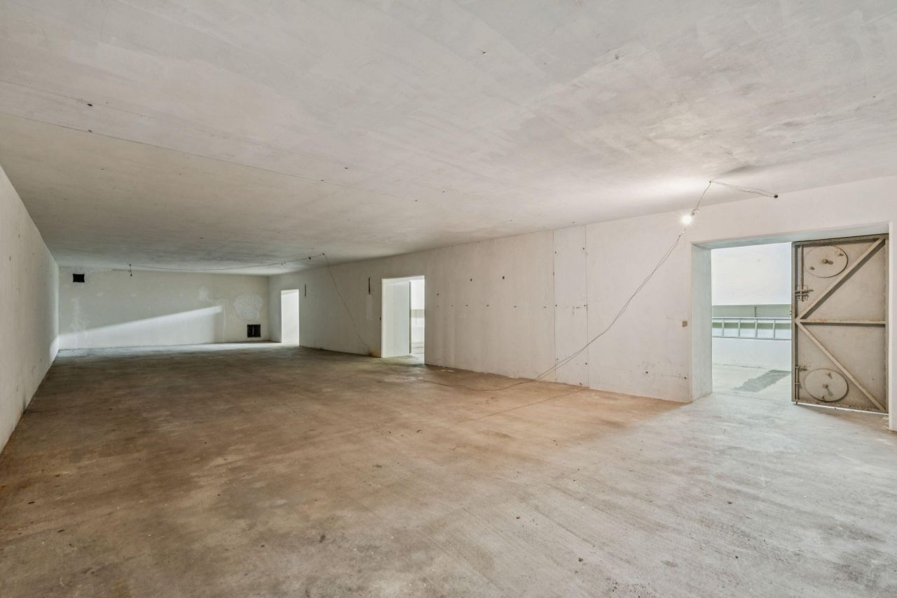 3019 Ion Avenue Photo 40