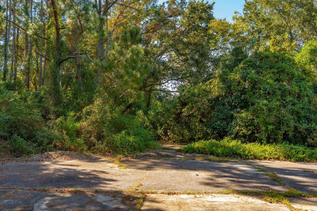 3019 Ion Avenue Photo 5