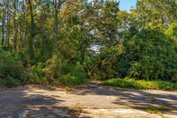 3019 Ion Avenue photo 4