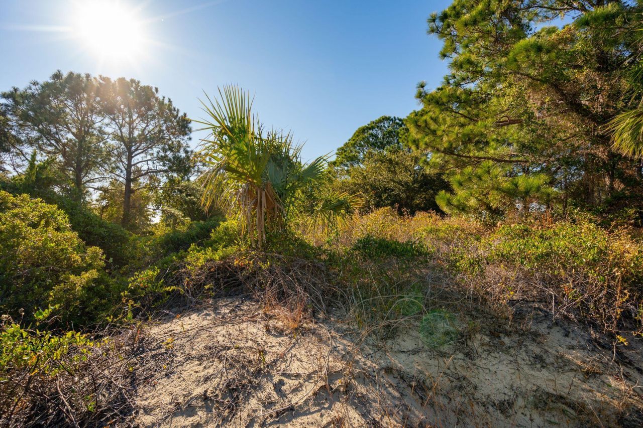 3019 Ion Avenue Photo 55