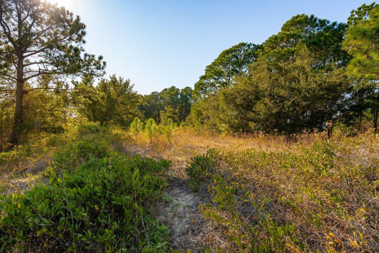 3019 Ion Avenue Photo 59