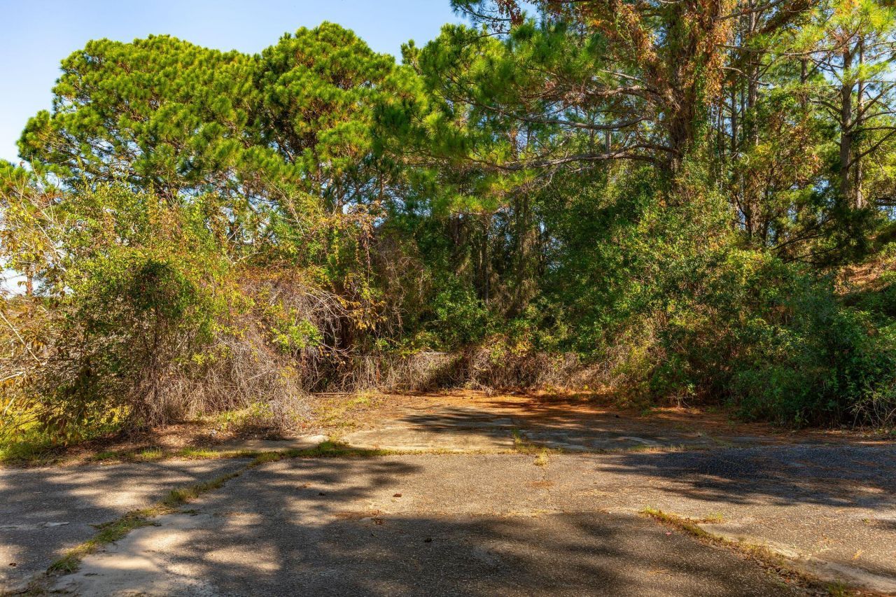 3019 Ion Avenue Photo 9