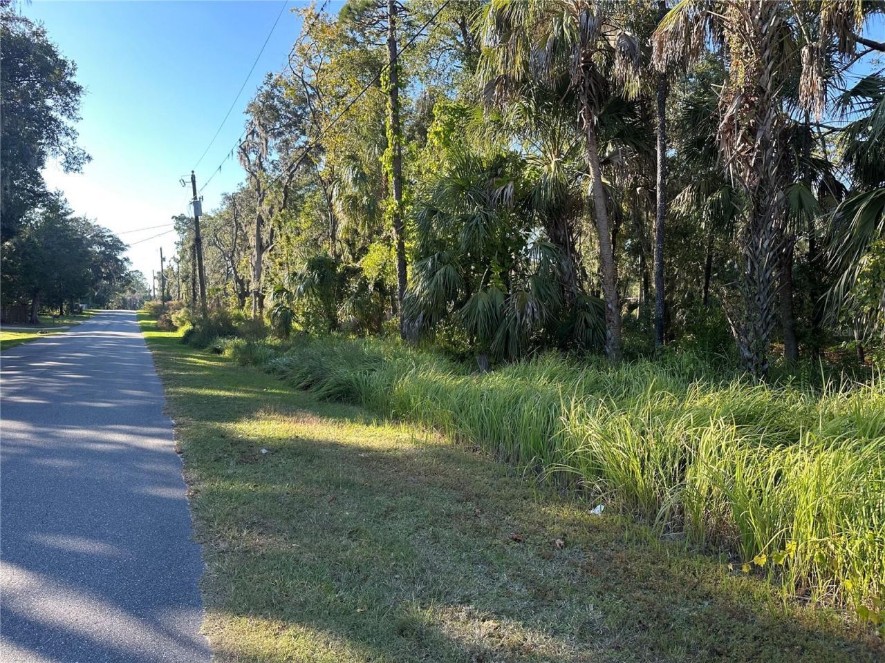 6291 W Arter Street, Crystal River, FL 34429 Photo