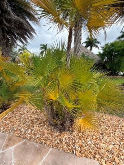 5205 Pineland Daisy Trl, Fort Myers, FL 33905 Photo