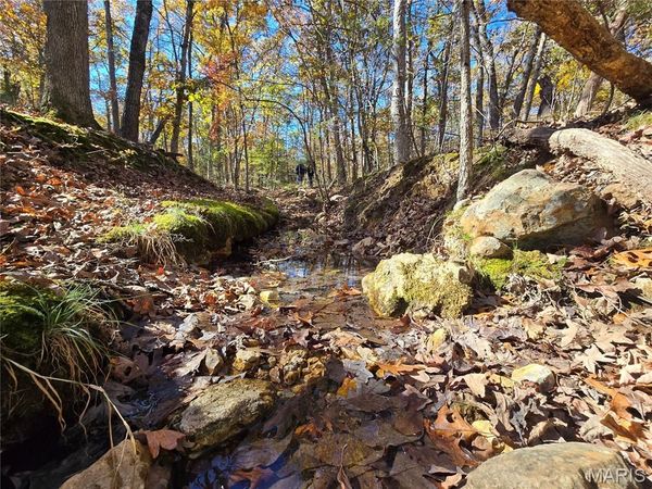 107 Railroad Lane, Doe Run, MO 63637