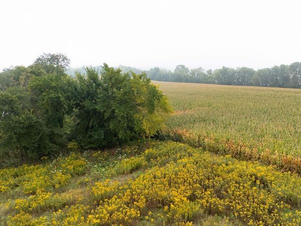 TBD (Lot  2) Goat Back Road, Pepin, WI 54759