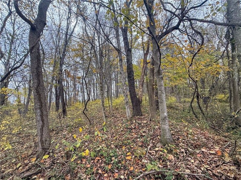 Pearl Wood Rd, Albany, OH 45710 Photo 10