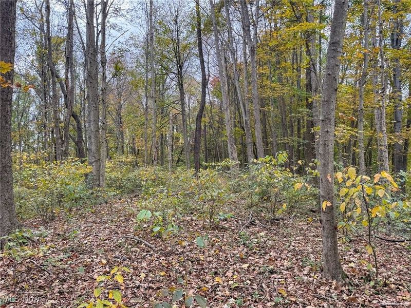 Pearl Wood Rd, Albany, OH 45710 Photo 13