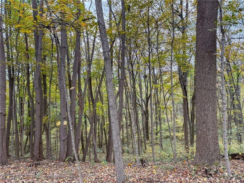 Pearl Wood Rd, Albany, OH 45710 Photo 14