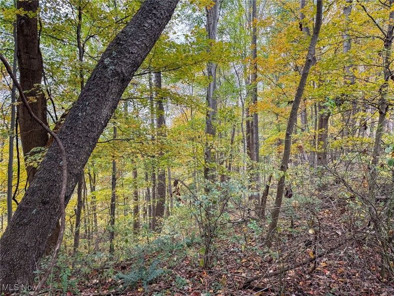 Pearl Wood Rd, Albany, OH 45710 Photo 19