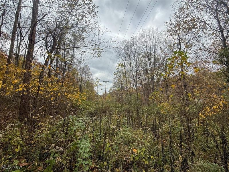 Pearl Wood Rd, Albany, OH 45710 Photo 2