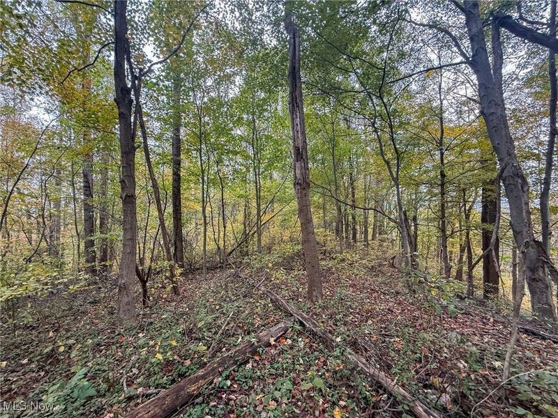 Pearl Wood Rd, Albany, OH 45710 Photo 20