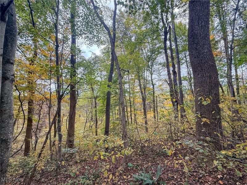 Pearl Wood Rd, Albany, OH 45710 Photo 21