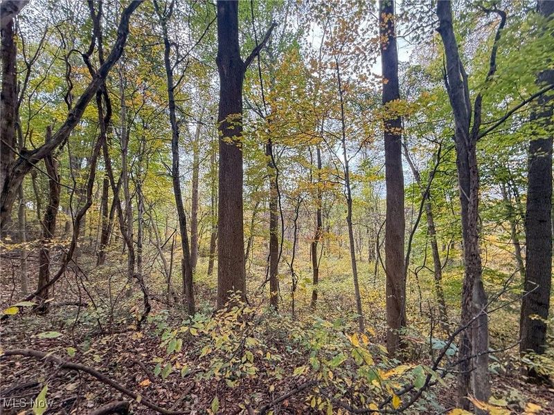 Pearl Wood Rd, Albany, OH 45710 Photo 22