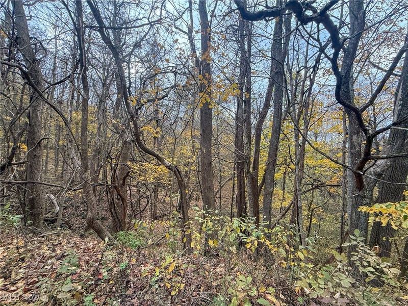 Pearl Wood Rd, Albany, OH 45710 Photo 4