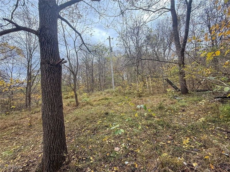 Pearl Wood Rd, Albany, OH 45710 Photo 7