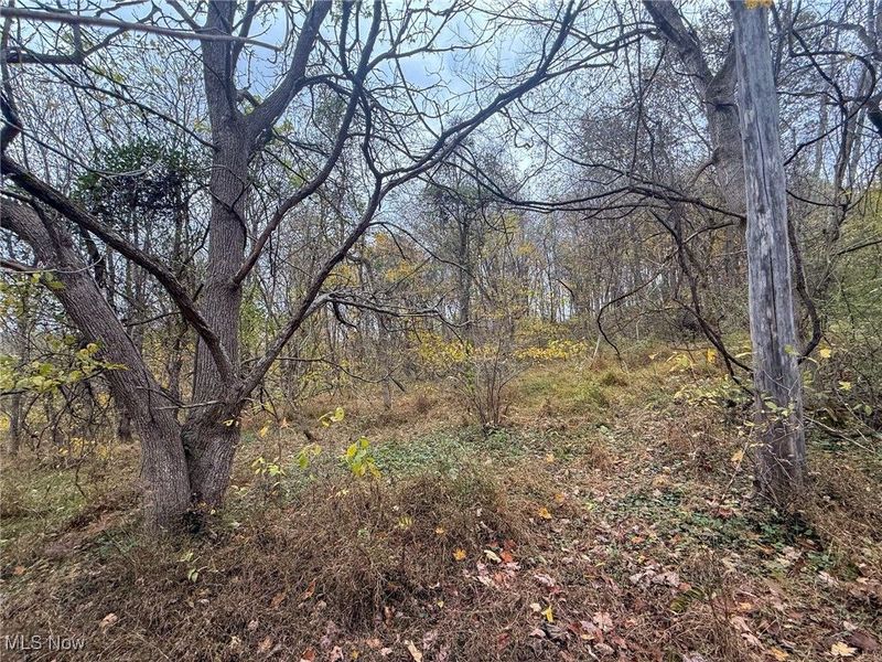 Pearl Wood Rd, Albany, OH 45710 Photo 8