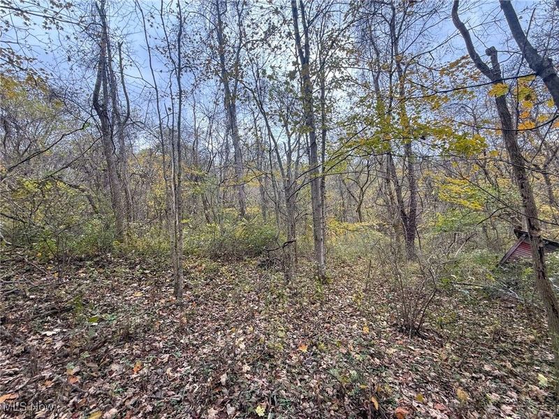 Pearl Wood Rd, Albany, OH 45710 Photo 9