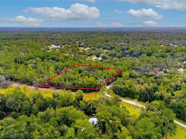 10111 NE 114TH STREET, ARCHER, FL 32618