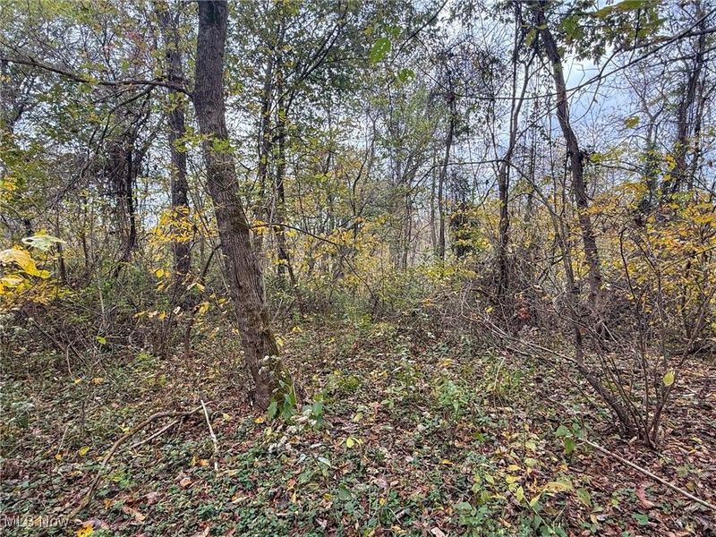 Pearl Wood Rd, Albany, OH 45710 Photo 10