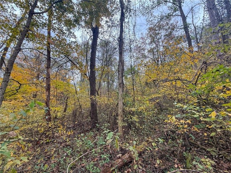 Pearl Wood Rd, Albany, OH 45710 Photo 13